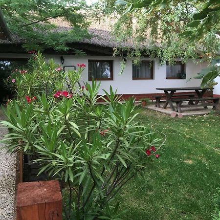 Balatonkenesei Nadfedeles Lovas Vendeghaz Βίλα Εξωτερικό φωτογραφία