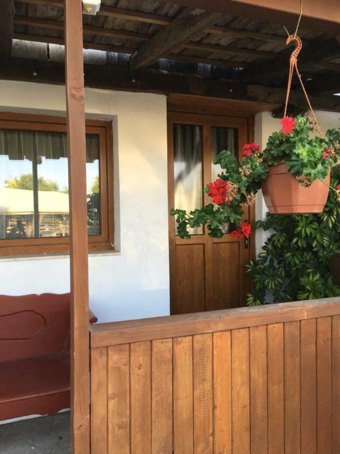 Balatonkenesei Nadfedeles Lovas Vendeghaz Βίλα Εξωτερικό φωτογραφία